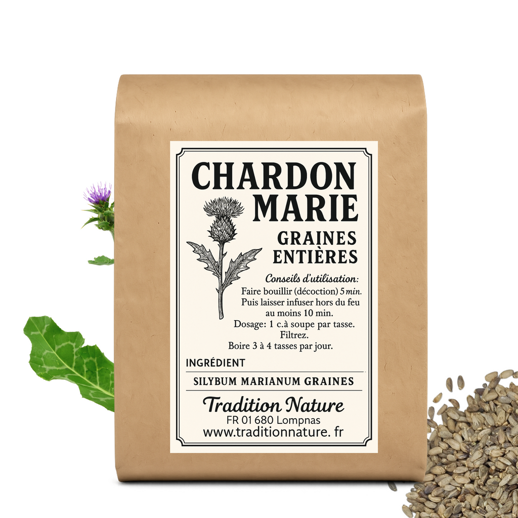 Le Chardon Marie graines entières : bienfaits
