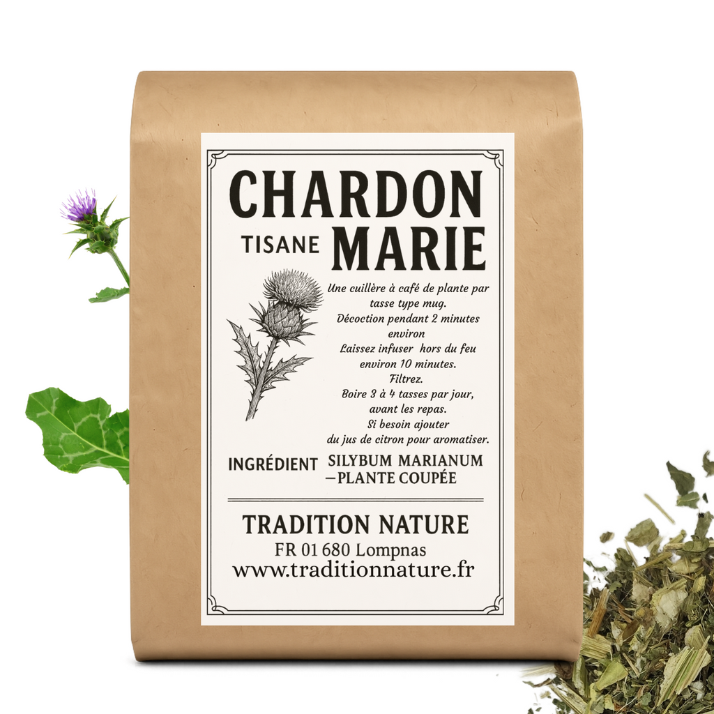 Chardon-Marie : le guide complet pour protéger et détoxifier son foie (bienfaits, tisane,cure)