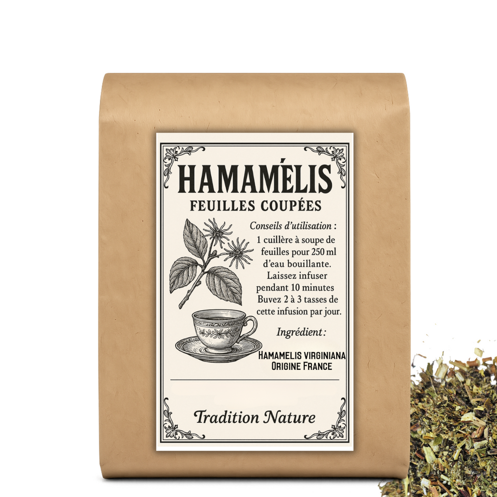 La tisane d'Hamamélis feuilles coupées |Bienfaits, Propriétés et conseils d'utilisation