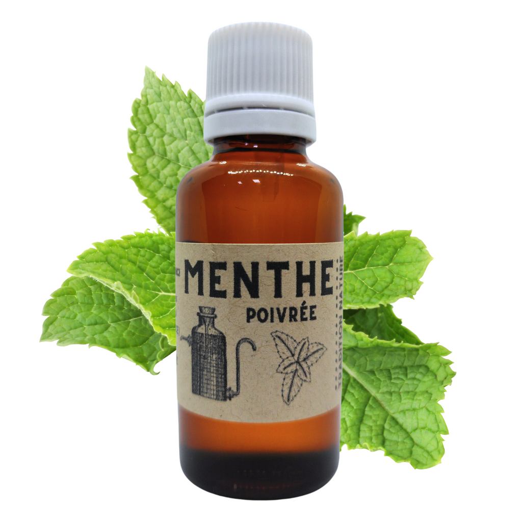L' Huile essentielle de Menthe poivrée |Bienfaits, Propriétés et conseils d'utilisation