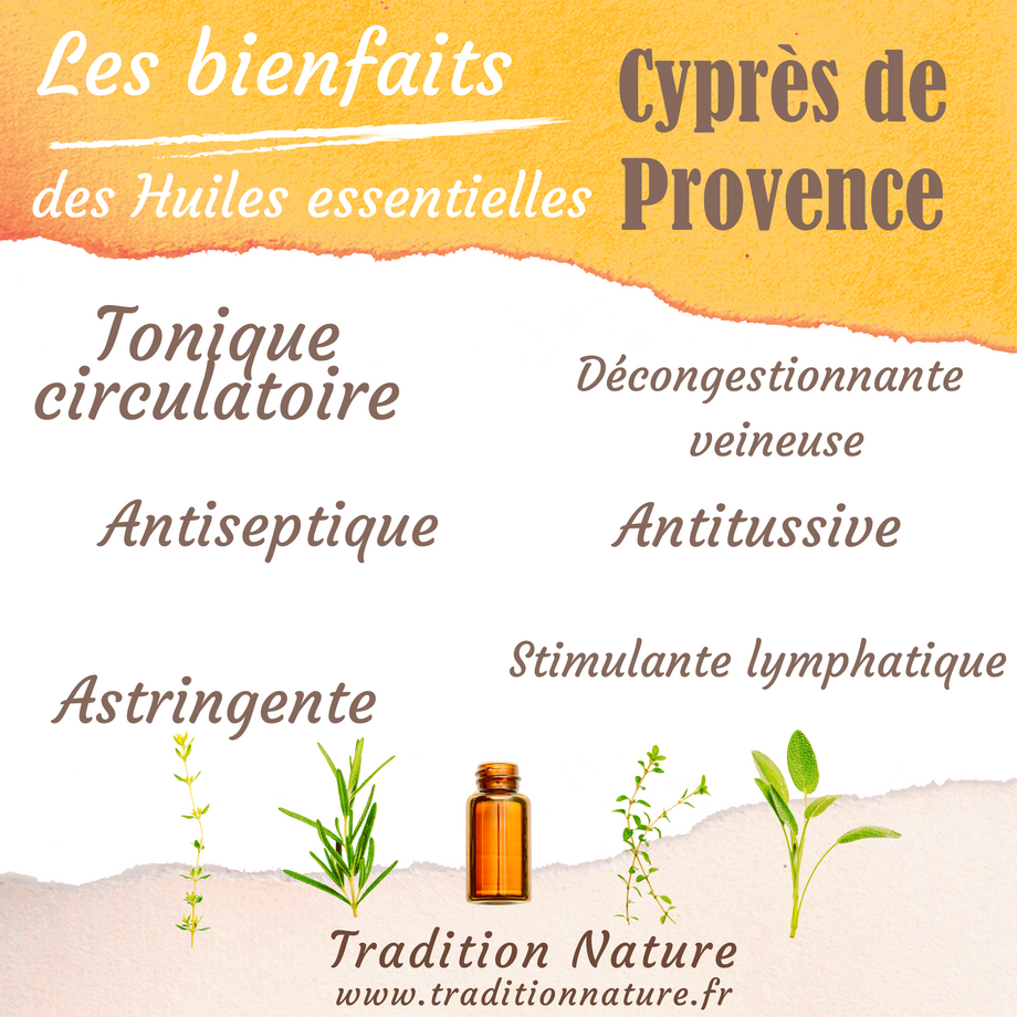 Huile Essentielle Cyprès BIO 40ml - 100% Pure France - Distillerie Duffez Provence