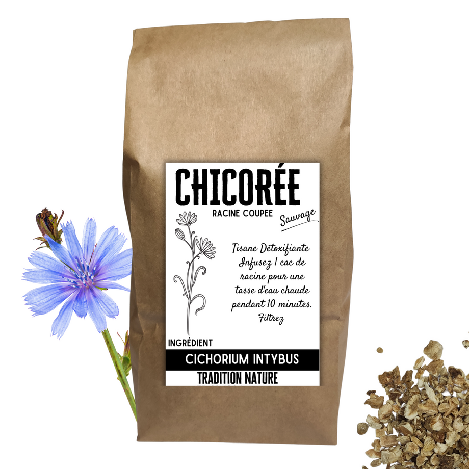 Chicorée sauvage, Cichorium intybus: bienfaits et utilisations