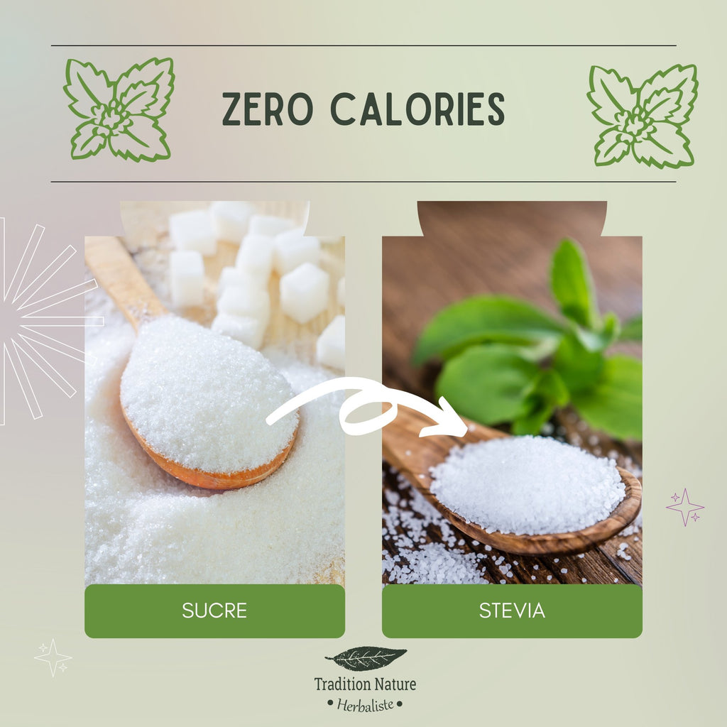 Stevia blanche en poudre - Tradition Nature-Bienfaits - Utilisations
